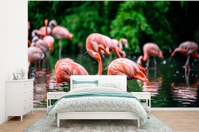 Behang - Fotobehang Flamingo - Tropisch - Vogel - Water - Roze - Breedte 320 cm x hoogte 240 cm