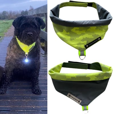 Reflecterende bandana voor honden. Maat XXL in de kleuren reflecterend geel en antraciet. Dubbelzijdig te dragen. Halsdoek voor huisdieren. Halssjaal. Designer bandana. Dog scarf. 2 in 1 bandana. Hondenfashion. Veiligheid. MadeByShuko