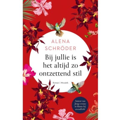 Bij Jullie Is Het Altijd Zo Ontzettend Stil - Alena Schröder