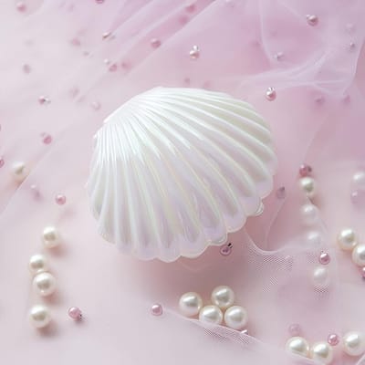 1 stuks Schelpvormige Schatkist, Creatief Huwelijksgeschenk Voedselverpakking romantische schelp Doos Vierkante Schatkist Sieraden Bo