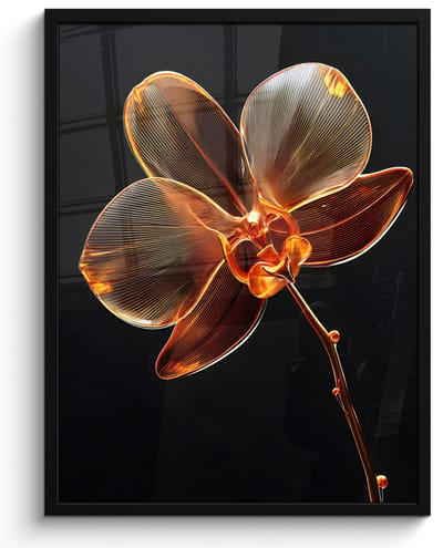 Poster in lijst - Fotolijst 50x70 cm - Posters - Orchidee - Doorzichtig - Bloem - Posterlijst zwart - Decoratie - Wanddecoratie woonkamer - Muurdecoratie slaapkamer