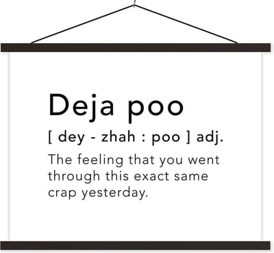 Posterhanger incl. Poster 40x30 cm - Schoolplaat - Spreuken - Quotes - The feeling that you went through this exact same crap yesterday - Woordenboek - Textielposter - Zwarte latten