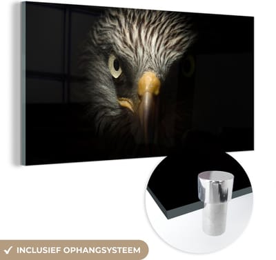 MuchoWow® Glasschilderij 40x20 cm - Schilderij acrylglas - Vogel - Adelaar - Roofvogels - Oog - Snavel - Licht - Foto op glas - Schilderijen