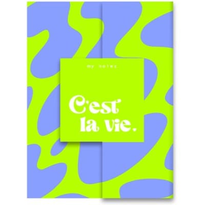 My Notes - C'est La Vie.