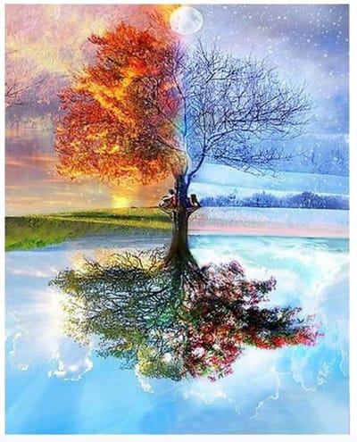 Dailygoods- Schilderen op Nummer - Kleurrijke Boom - Canvas - 40 x 50