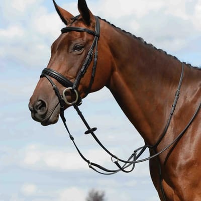 Platte martingaal voor paarden Weatherbeeta Collegiate Syntovia+
