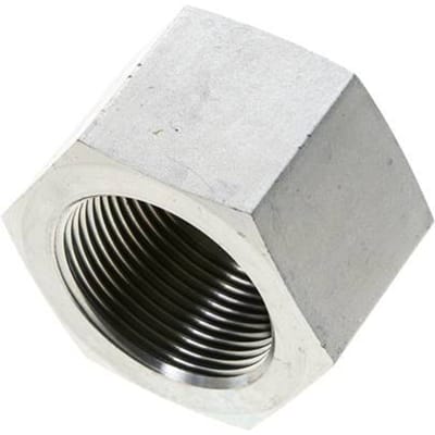1 1/4'' NPT Verzinkt Stalen Plug met Buitenzeskant 80 Bar - FL1-F-EZ-114N-E