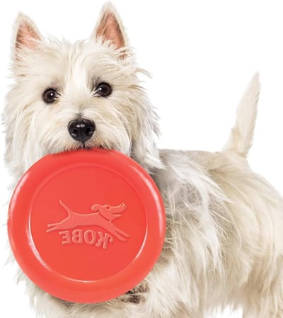 Honden Frisbee - Vliegende Schijf - Buiten Spelen - Spekgeur - Aluminium TPR - Meerkleurig