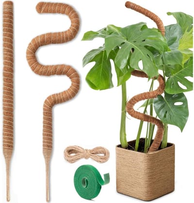MKSS® Klimrek Planten - Plantensteunen voor Klimplanten - Wandrek voor Buiten - Hout - Nature - Bruin