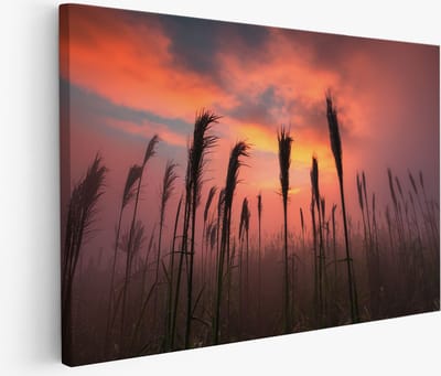 Saammp Muurcirkel Hout - Vrouw met haar van bloemen - abstract - Ø 80 - Wandcirkel - Wanddecoratie Cirkel - Muurdecoratie Woonkamer - Slaapkamer decoratie - Rond Schilderij
