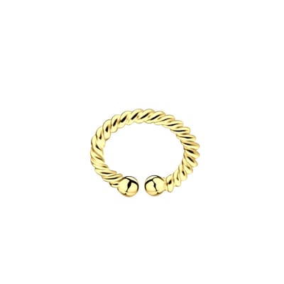 WeLoveSilver - ear jewels - 925 zilver - spiraalvorm - bolletjes