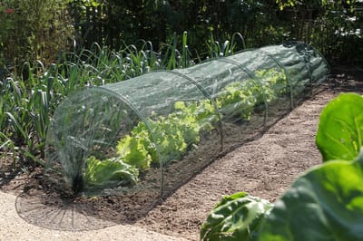 Nature - Tuintunnelset (2-in-1: folie + net) - H45 x 60 x 300cm