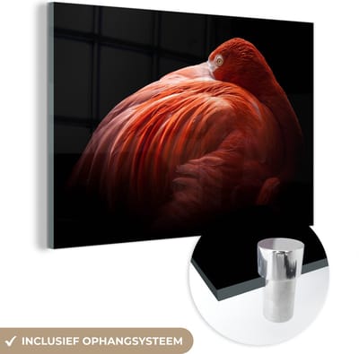 MuchoWow® Glasschilderij 120x80 cm - Schilderij acrylglas - Flamingo - Veren - Roze - Foto op glas - Schilderijen