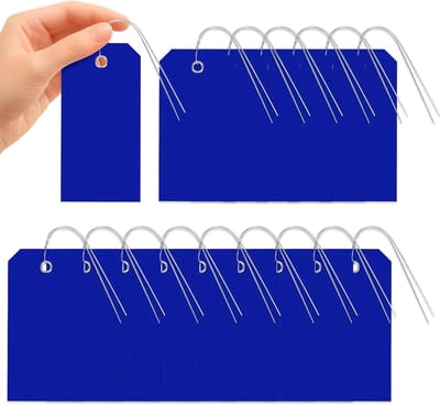 101 Stuks Waterdichte Schrijfbare Labels van 6 x 12 cm met Touw, Duurzame Verzendtags voor Thuis en Kantoor, Lege Labeltags voor Organisatie en Verhuizing