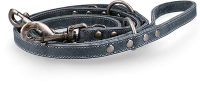 Spotted! Pro Hondenriem - 1.6 x 250 cm - Leer - Trainingslijn - Hondenlijn - Looplijn voor Honden - Grijs