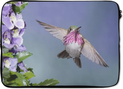 Laptophoes 13 inch - Kolibrie - Bloemen - Lucht - Laptop sleeve - Binnenmaat 32x22,5 cm - Zwarte achterkant