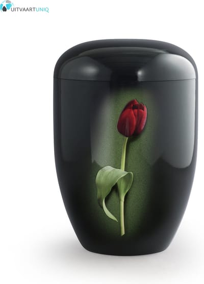 Eco urn zwart met rode tulp - bio (biologisch afbreekbaar)