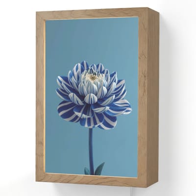 Wandlamp 20x30 cm - Oplaadbaar - Bloem - Blauw - Bloemblaadjes - Streepjes - Wandlampen binnen woonkamer - Slaapkamer lamp met kabel - Decoratieve nachtlamp - Vloerlamp snoer