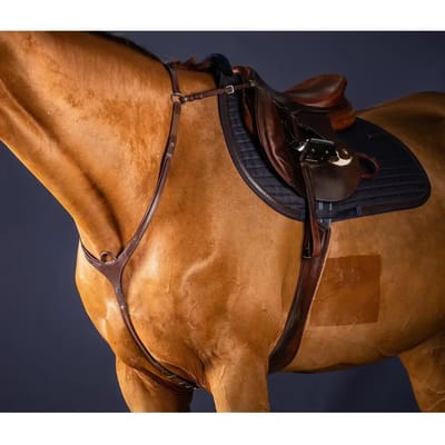 Jachthalsband voor brugpaard Dy'on