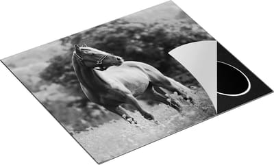 Chefcare Inductie Beschermer Bruin Paard in de Wei - Zwart Wit - 60x50 cm - Afdekplaat Inductie - Kookplaat Beschermer - Inductie Mat