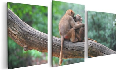 Artaza Canvas Schilderij Drieluik Twee Apen Vrienden Op Een Tak In Een Boom - 120x60 - Foto Op Canvas - Canvas Print