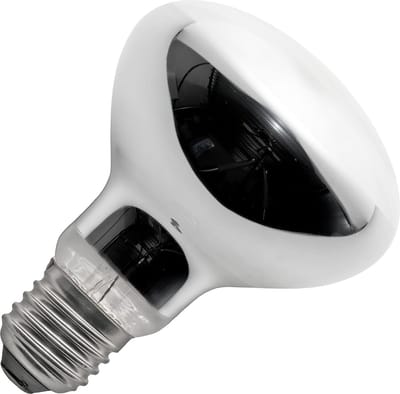 Schiefer E27 R80 Halogeenlamp | 53W 2800K 220V/240V 30° | Dimbaar