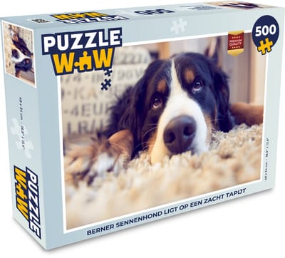 Puzzel Berner Sennenhond ligt op een zacht tapijt - Legpuzzel - Puzzel 500 stukjes