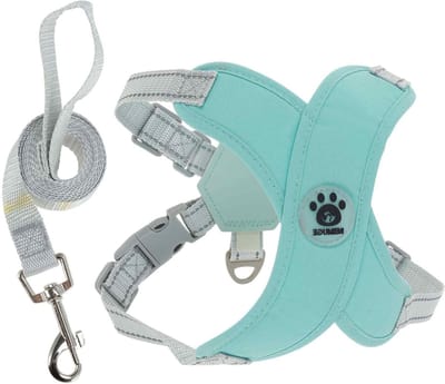 SnelShoppen - Hondentuigje met Hondenriem - Verstelbaar Anti-Trek Hondenborstharnas voor Middelgrote Honden en Puppy’s - Ademend Groen S - Perfect voo