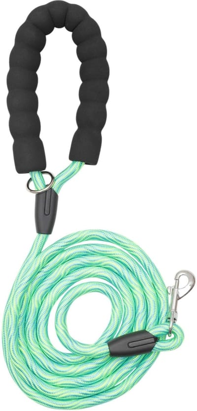 Dailygoods- Hondenriem 300 cm - Gevoerde Handgreep - Reflecterende Draden - Versterkt Gevlochten Design - Draaibare Clip - Veiligheid bij Wandelen - Hondentouw