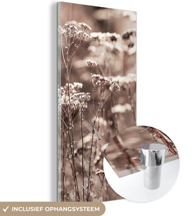 MuchoWow® Glasschilderij 60x120 cm - Schilderij acrylglas - Planten - Bloemen - Winter - Sneeuw - Sepia - Foto op glas - Schilderijen