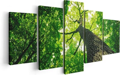 Artaza Canvas Schilderij Vijfluik Boom In Het Bos Met Fel Groene Bladeren - 100x50 - Foto Op Canvas - Canvas Print