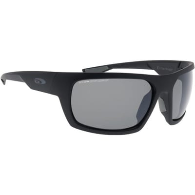 Goggle T909-1P Zonnebril Gepolariseerd Heren