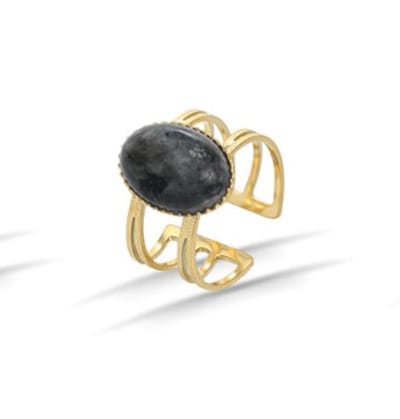 Ring – Rvs – Ovaal - Labradoriet - 15 mm - edelsteen - Goudkleurig 18K PVD plating – Verstelbare – ontwerp – Makkelijke voor mensen met moeilijke en artrose vingers