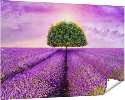 Gards Tuinposter Groene Boom in de Lavendel Bloemen - 150x100 cm - Tuindoek - Tuindecoratie - Wanddecoratie buiten - Tuinschilderij