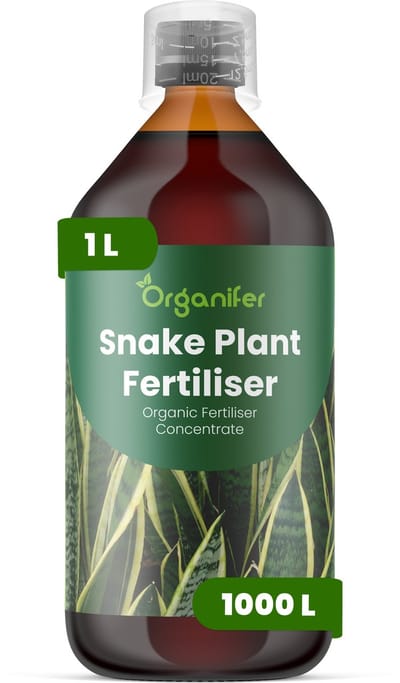 Vloeibare Meststof Voor Sansevieria 1 L Voor 1000 L - Npk 2-1-8 - Opgaande Bladgroei - Sterke Bladkleur - Bladstevigheid - Gelijkmatige Groei - Sterk Wortelstelsel - Zachte Nutriëntenopname - Herstel Na Verpotten - Organifer