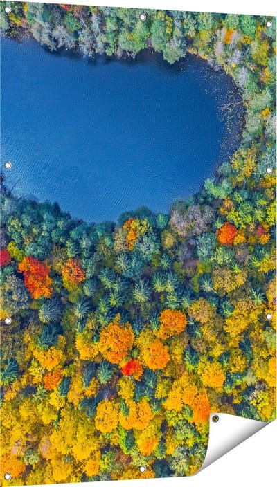 Gards Tuinposter Kleurrijke Bos met Bomen naast een Meer - 80x120 cm - Tuindoek - Tuindecoratie - Wanddecoratie buiten - Tuinschilderij