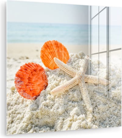 MuchoWow® Glasschilderij 90x90 cm - Schilderij acrylglas - Schelpen - Zeester - Zand - Foto op glas - Muurdecoratie woonkamer - Wanddecoratie slaapkamer - Schilderijen
