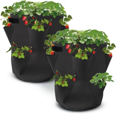Plantenzak Set - Aardbei Plantzak - 2 Stuks 45x35 cm - Ademend Vilt Materiaal - Voor Balkon Tuin en Terras
