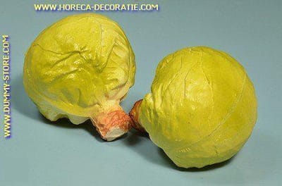 Groene kool, 2 stuks (dummy)