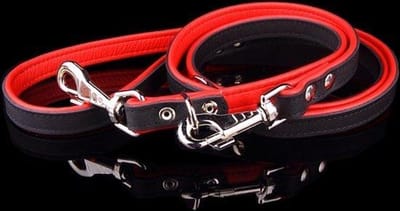 Dog's Companion - Politielijn / Trainingslijn Hond Verstelbare Leren Riem (soft/duo) Lengte: 220cm (20 mm), Kleur: Zwart / Rood - Verstelbaar op 130-170-210 cm
