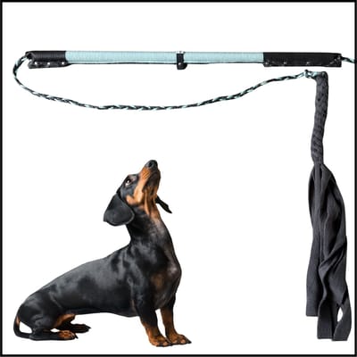 Hondenspeelgoed. Flirt Pole maat 2 in de kleuren mintgroen en antraciet. Hondenhengel - Hondentraining - honden speelhengel - focus speelgoed - focus training - speeltouw - trektouw - dog toy - dog activity toy - ShukoGear by MadeByShuko