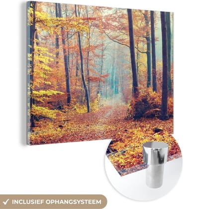 MuchoWow® Glasschilderij 40x30 cm - Schilderij acrylglas - Bos - Herfst - Bladeren - Foto op glas - Schilderijen