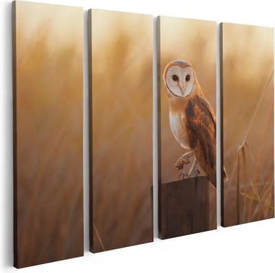 Artaza Canvas Schilderij Vierluik Kerkuil Op Een Boomstronk - 80x60 - Foto Op Canvas - Canvas Print