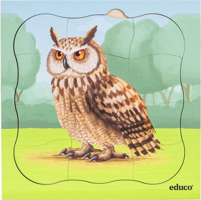 Groeipuzzel bos - Uil