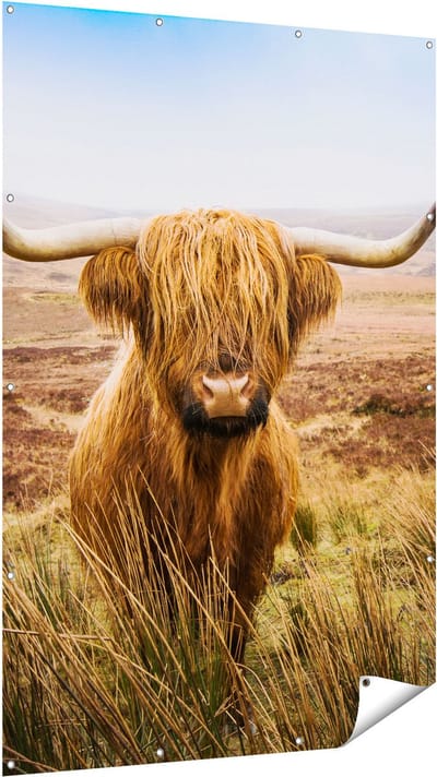 Gards Tuinposter Schotse Hooglander Koe in het Veld - 120x180 cm - Tuindoek - Tuindecoratie - Wanddecoratie buiten - Tuinschilderij
