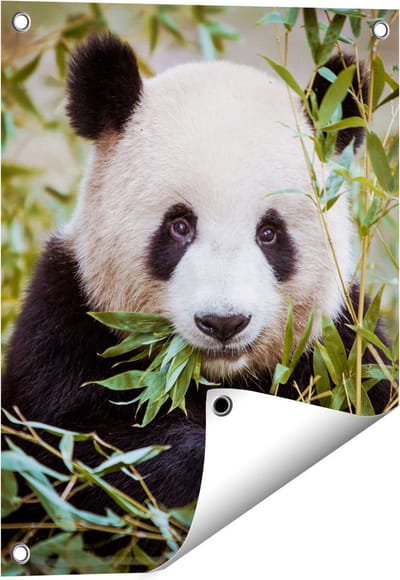 Gards Tuinposter Panda Eet Planten - 40x50 cm - Tuindoek - Tuindecoratie - Wanddecoratie buiten - Tuinschilderij