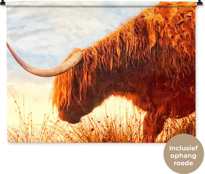Wandkleed Schotse hooglander - Schotse hooglander met mooie oranje tinten Wandkleed katoen 150x112 cm - Wandtapijt met foto