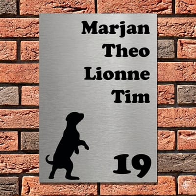 RVS-look naambordje - 20 x 25 cm - incl. bevestigingsset | Naambordje Voordeur | Zelf online ontwerpen | Gratis Verzending | Incl. 2 jaar garantie
