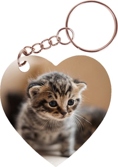 Sleutelhanger hartje 5x5cm - Kittens op Ontdekkingstocht