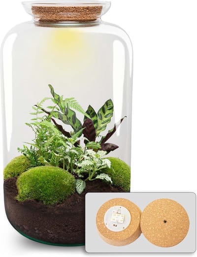 Terrarium DIY Kit - Botanical Sven XL + Light - Bottle Garden - ↑ 43 cm